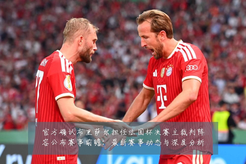 官方确认布里萨尔担任法国杯决赛主裁判阵容公布赛事前瞻：最新赛事动态与深度分析